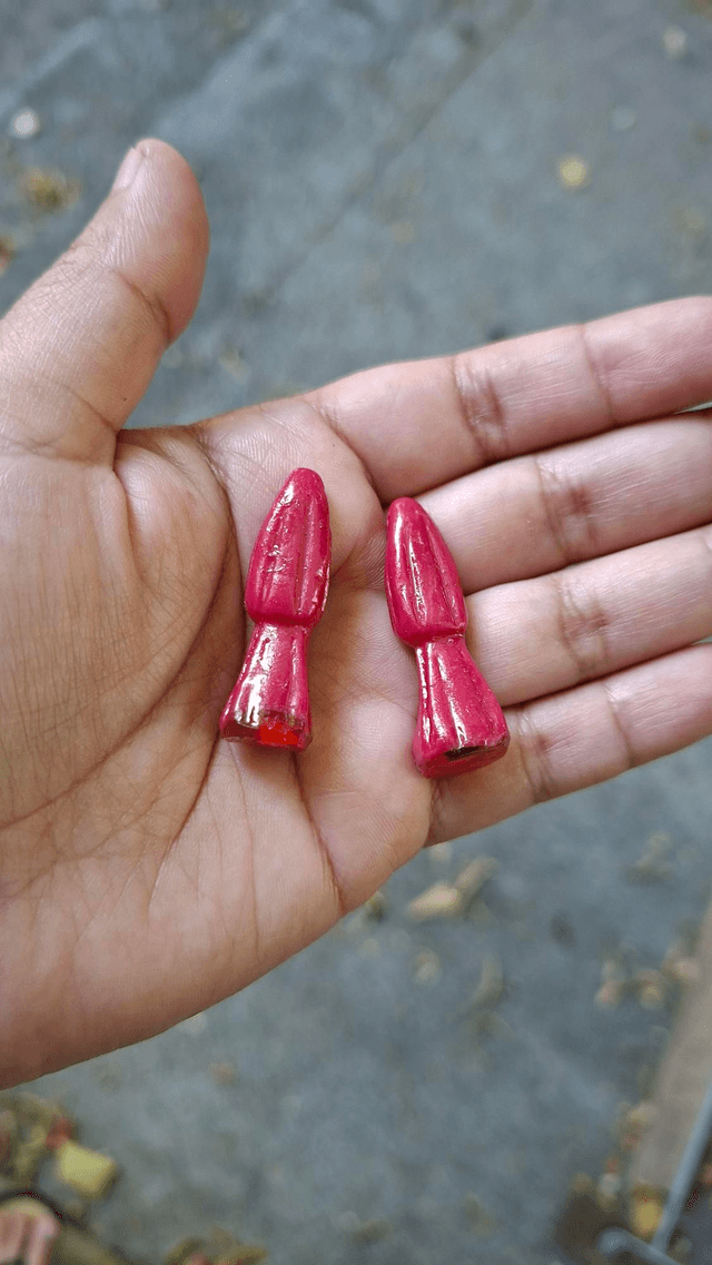 Mini santitas rose foncées 